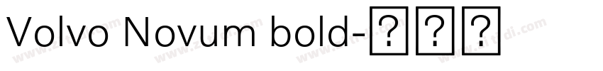 Volvo Novum bold字体转换 Volvo Novum bold字体转换